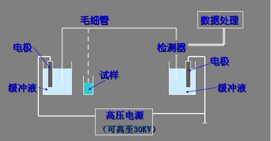 色谱分析法各仪器设备一览:气相色谱仪液相色谱仪离子色谱仪制备液