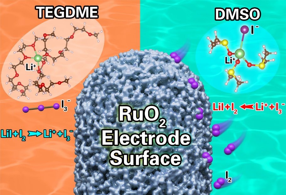 基于dmso电解液和tegdme电解液的锂氧气电池的电化学性能