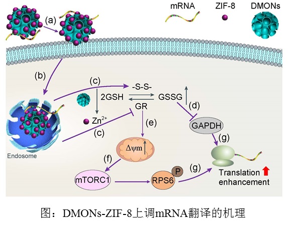 zif-8图片