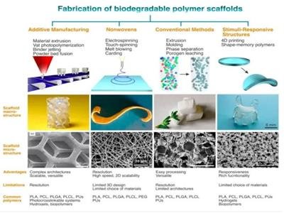 可生物降解医用高分子材料