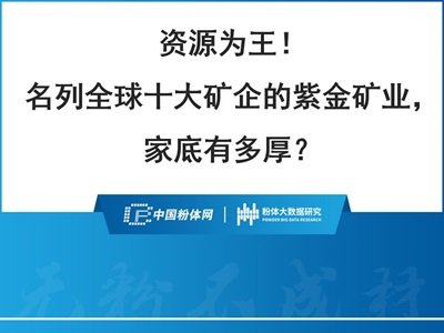 40页PPT了解全球十大矿企之紫金矿业