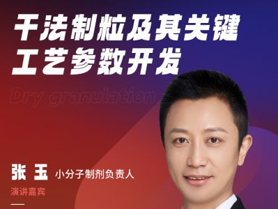 干法制粒及其关键工艺参数开发